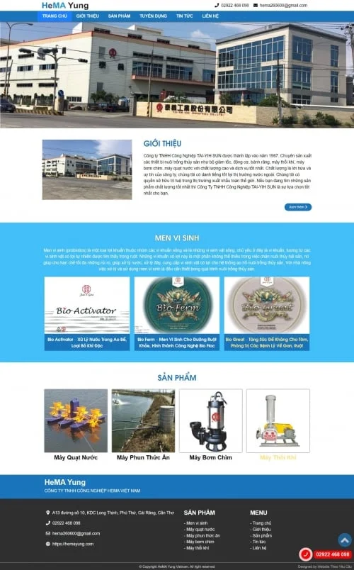 Thiết kế website công ty Hema Yung